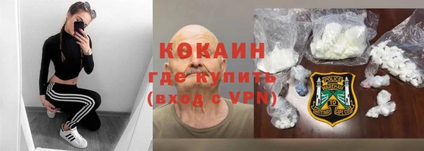 тгк Дмитровск