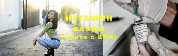 амф Дмитриев