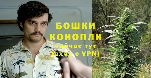 тгк Дмитровск