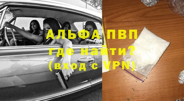 амф Дмитриев