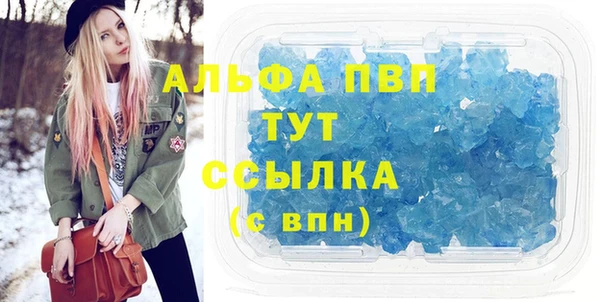 амф Дмитриев