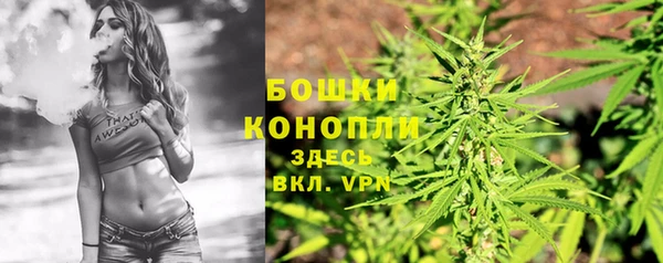 тгк Дмитровск