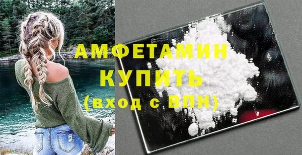 амф Дмитриев