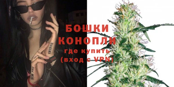 амф Дмитриев