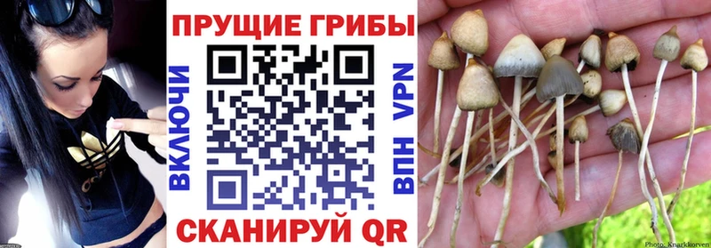Галлюциногенные грибы мухоморы  Певек 